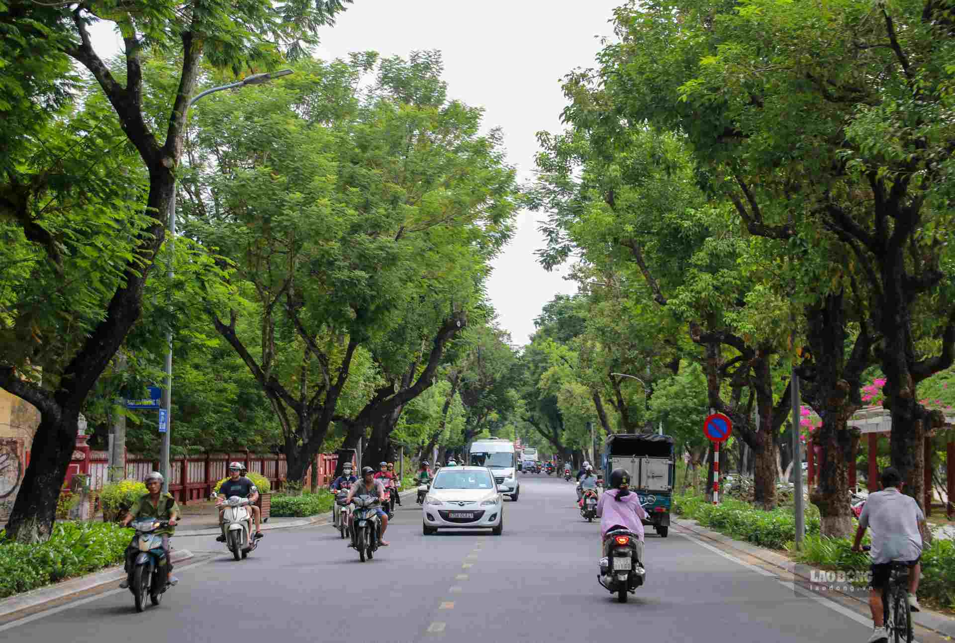 Nhan thay viec can thiet phai cat tia, ha do cao cay xanh truoc mua mua bao nen nguoi dan rat dong tinh. 