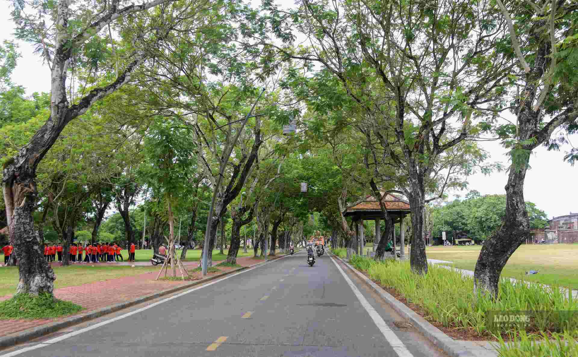 Theo lãnh đạo Trung tâm Công viên cây xanh Huế, hàng năm, các nhân viên của trung tâm tiến hành cắt tỉa cành cho khoảng 4.500 - 5.000 cây, quá trình thực hiện luôn chú trọng đến thẩm mỹ, đặc biệt đảm bảo an toàn cho người, phương tiện trong quá trình xử lý.