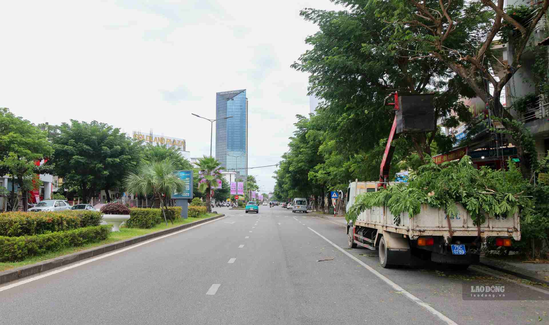 Truoc tinh hinh mua bao phuc tap nam 2024 dang dien ra o mien Bac, lanh dao Centre Cong vien cay xanh Hue cho biet, don vi da tien hanh khao sat he thong cay xanh cao to, canh tan vuon xa de xay dung ke hoach cat tia, ha thap. Dong thoi, kiem ke nhung cay gia, muc, troi re, de xuat phuong an chat ha, dam bao an toan.