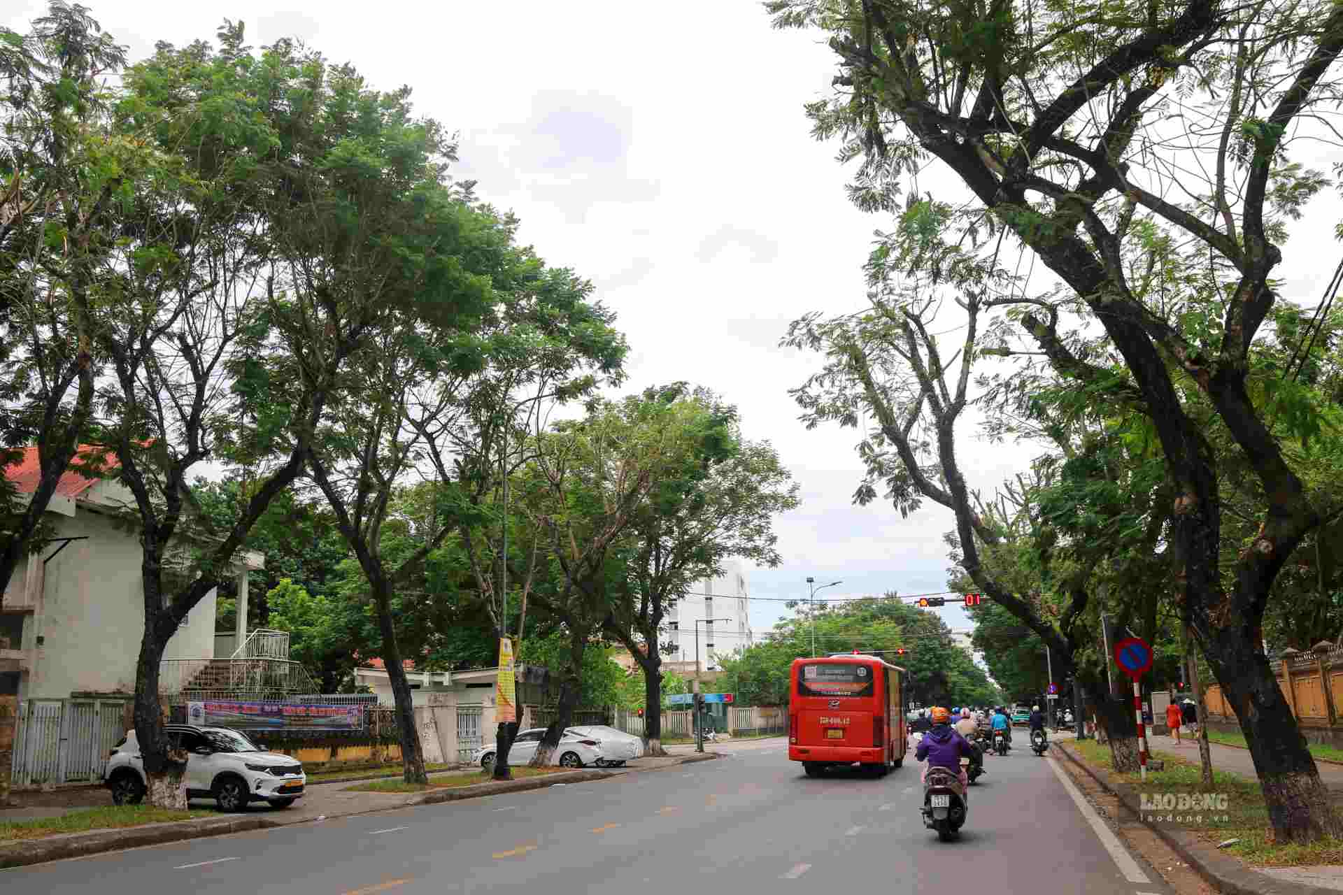 Theo ong Le Nhu Chinh, tu thang 7, trung tam huy dong nhan luc va phuong tien tien hanh cat tia cay, ha do cao, tao thong thoang, do nhe cho cay. Viec cat tia duoc chu dong hon ve thoi gian va trien khai tu som nen den nay dat khoang 90% tien do. 