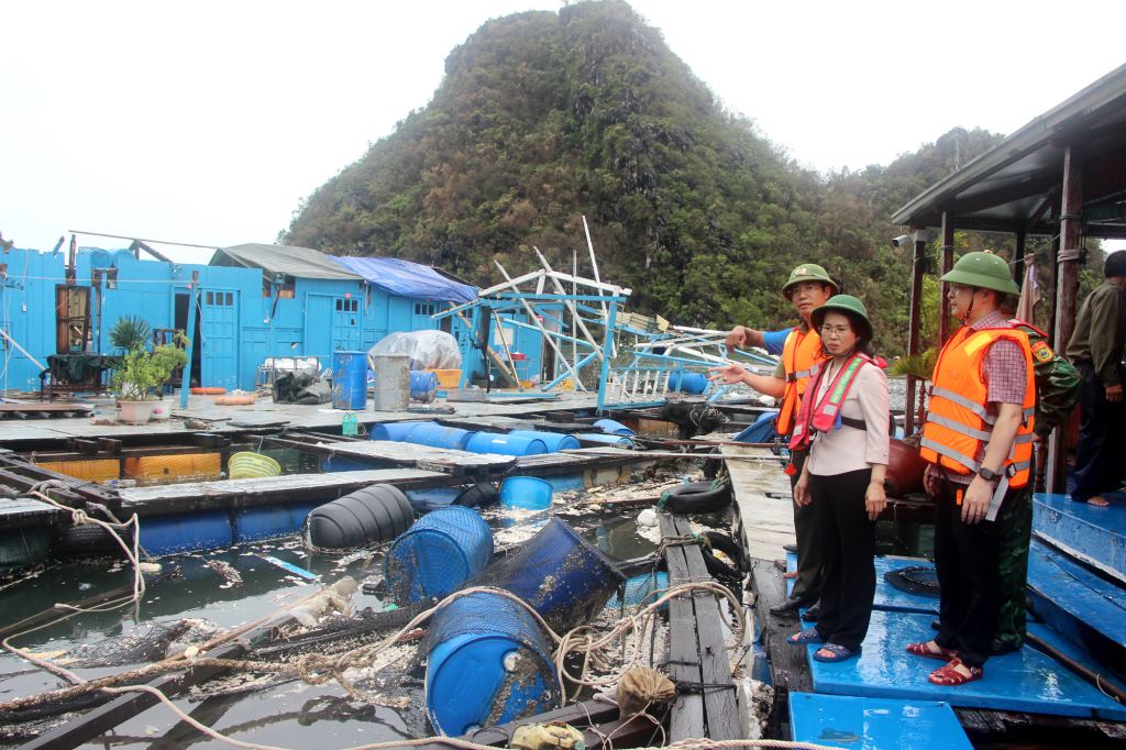 Ba Trinh Thi Minh Thanh - Pho Bi thu Thuong truc Tinh uy Quang Ninh -kiem tra be mang bi thiet hai do bao Yagi gay ra tai khu vuc hon Ong Cu, phuong Cam Dong, TP.Cam Pha. Anh: Manh Truong