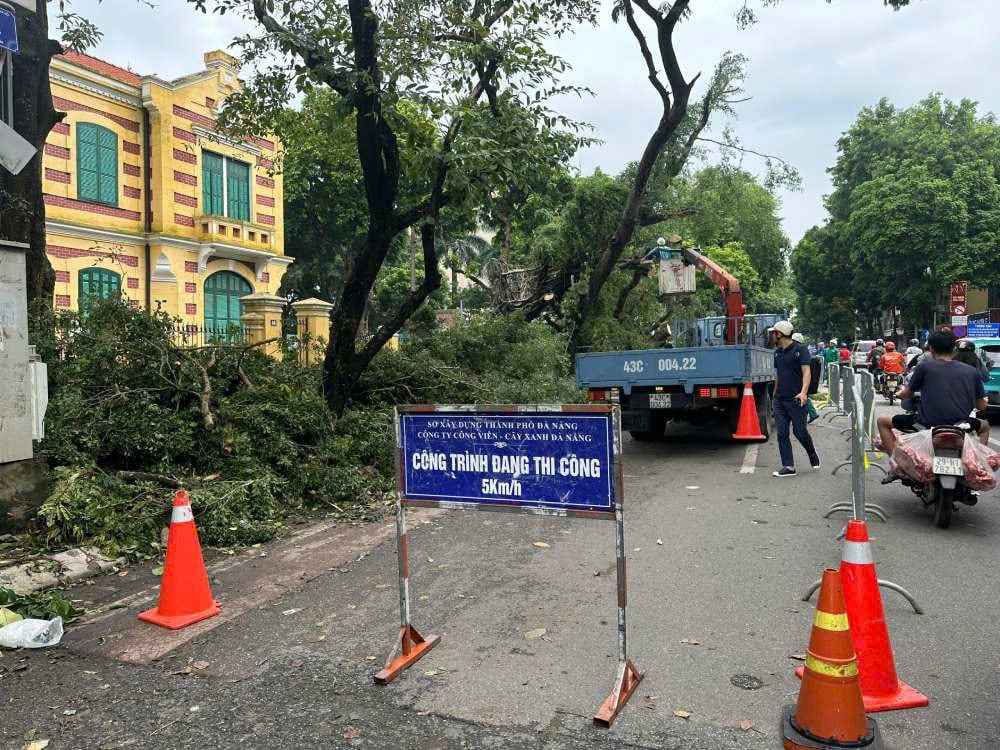 Công ty công viên cây xanh Hà Nội cắt tỉa và trồng lại cây. Ảnh: Minh Hạnh