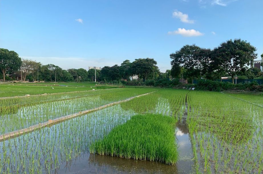 Cơ quan có chức năng quản lý đất đai mới nhất. Ảnh: Phương Anh