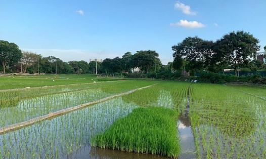Cơ quan có chức năng quản lý đất đai mới nhất. Ảnh: Phương Anh