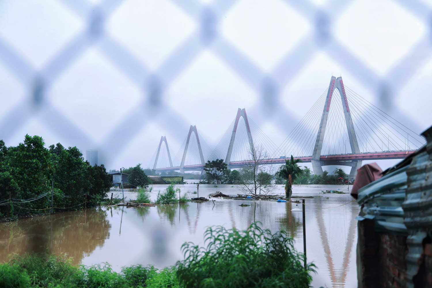 Nhung ngay nay, khu vuc ngoai de ven song Hong nuoc dang cao ca chuc met. Nhieu ho dan tai khu vuc phuong Phu Thuong (Tay Ho, Ha Noi) da phai di doi toi noi o an toan. Tuy vay, nha cua, vuon tuoc ngap trong nuoc lu, khien cuoc song cua ho bi dao lon.