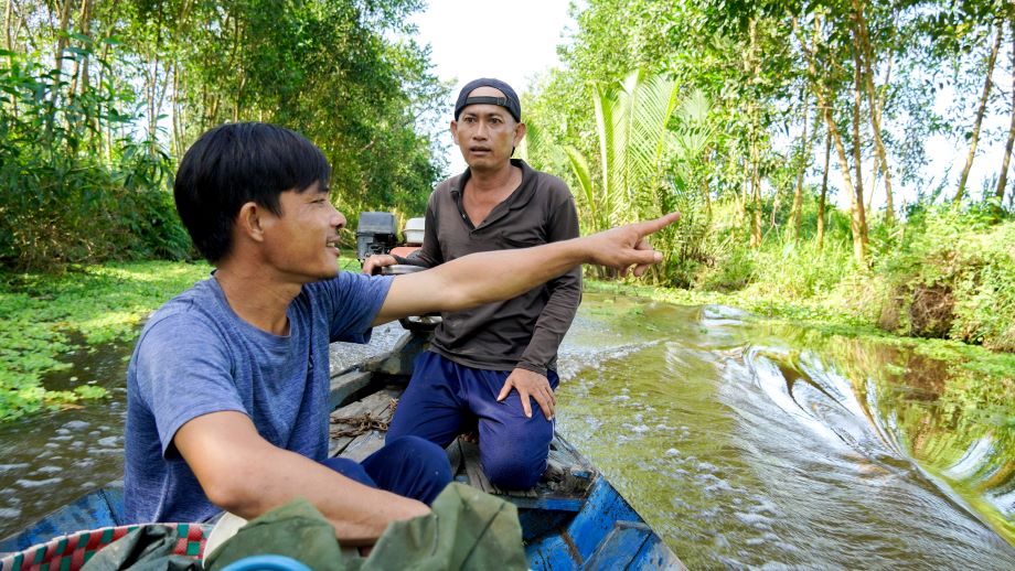 Để săn được tổ ong vò vẽ, nhóm của anh Huỳnh Thanh Phương (huyện Châu Thành, tỉnh Sóc Trăng) phải lên xuồng chay dọc các cánh rừng ở gần nhà để tìm tổ ong.