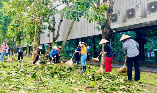 Công nhân Công ty may Tân Đệ ở Thái Bình tham gia dọn dẹp cây bị đổ trong khuân viên nhà máy. Ảnh: Tân Đệ