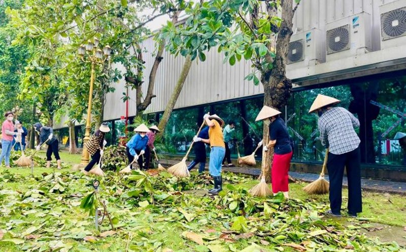 Công nhân Công ty may Tân Đệ ở Thái Bình tham gia dọn dẹp cây bị đổ trong khuân viên nhà máy. Ảnh: Tân Đệ
