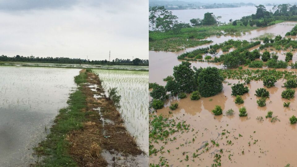 Đất nông nghiệp bị tổn hại nghiêm trọng sau lũ, đặt ra thách thức lớn cho việc canh tác trở lại. Ảnh: Quỳnh Anh 