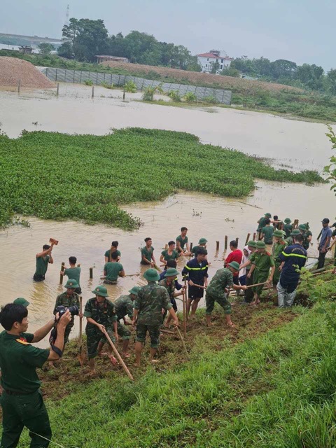 Các lực lượng hộ đê đã thực hiện đóng cọc tre, đắp các bao tải đất, ốp phên tre vào mái đê. Ảnh: Đăng Khôi