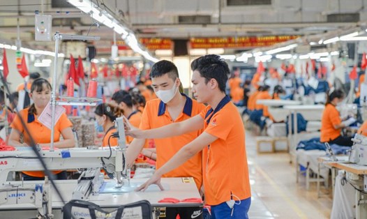 Doanh nghiệp dệt may Việt Nam đang trở lại đường đua xuất khẩu. Ảnh: Phan Trang/VGP