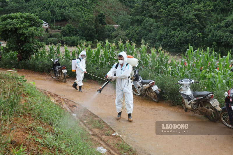 Ngay 12.9, thong tin tu So Y te Lao Cai, don vi da chi dao trien khai ve sinh khu khuan moi truong tai cac diem nguy co, tang cuong cong tac phong chong dich benh. Dong thoi to chuc giam sat, phat hien kip thoi va xu ly triet de cac o dich benh truyen nhiem xay ra trong va sau bao.