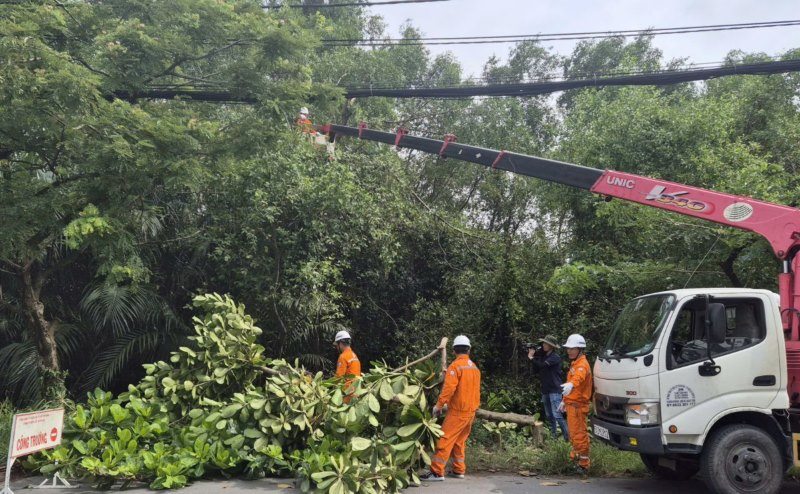 Nhân viên Công ty Điện lực Duyên Hải mé nhánh, tỉa cành để bảo đảm an toàn hành lang lưới điện. Ảnh: EVNHCMC cung cấp