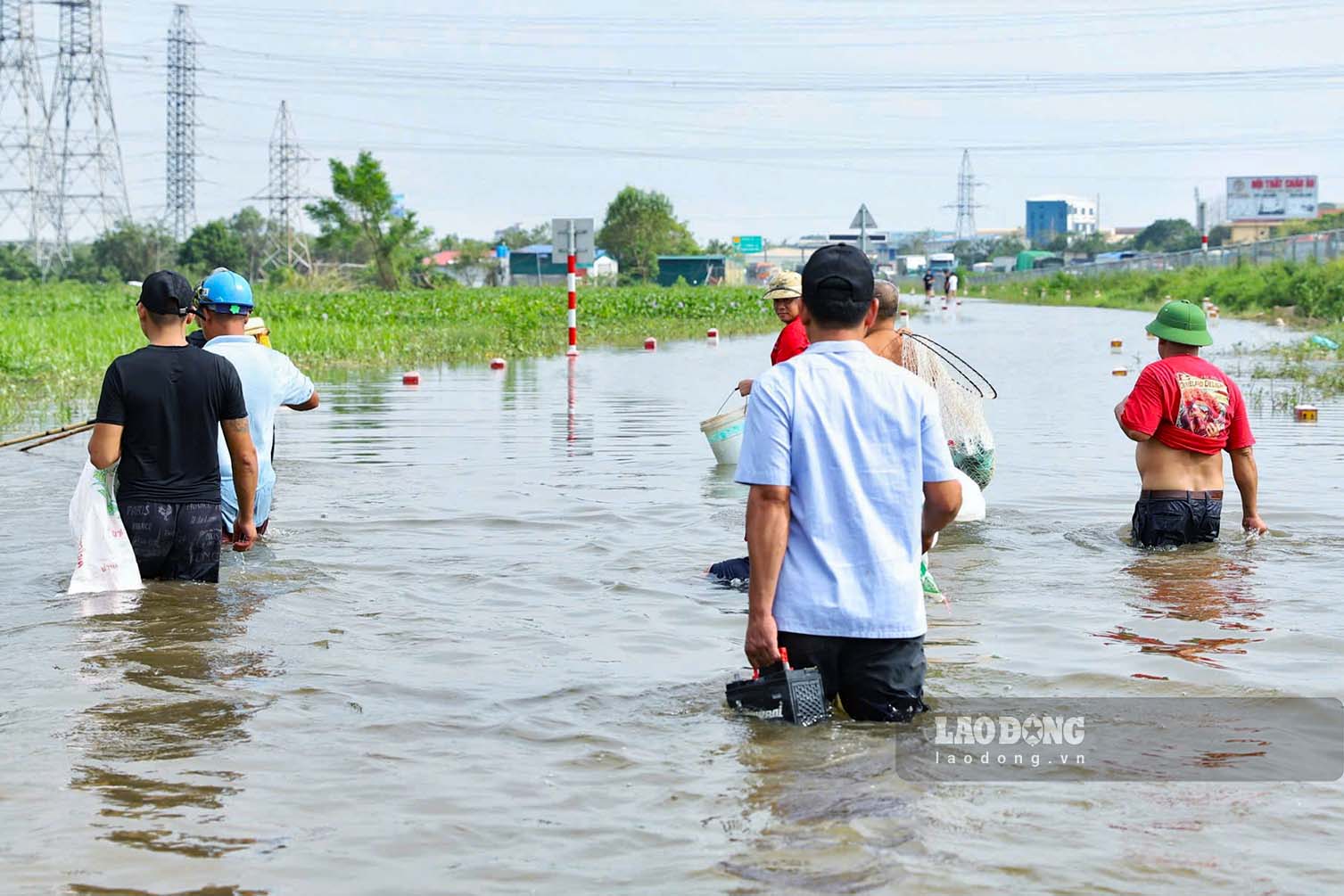 “Day hau het la ca tu trong cac ao ra ngoai, neu khong bat co the troi ra ngoai dong hoac chet gay o nhiem nen chung toi tranh thu bat duoc con nao hay con day“, mot nguoi dan chia se.