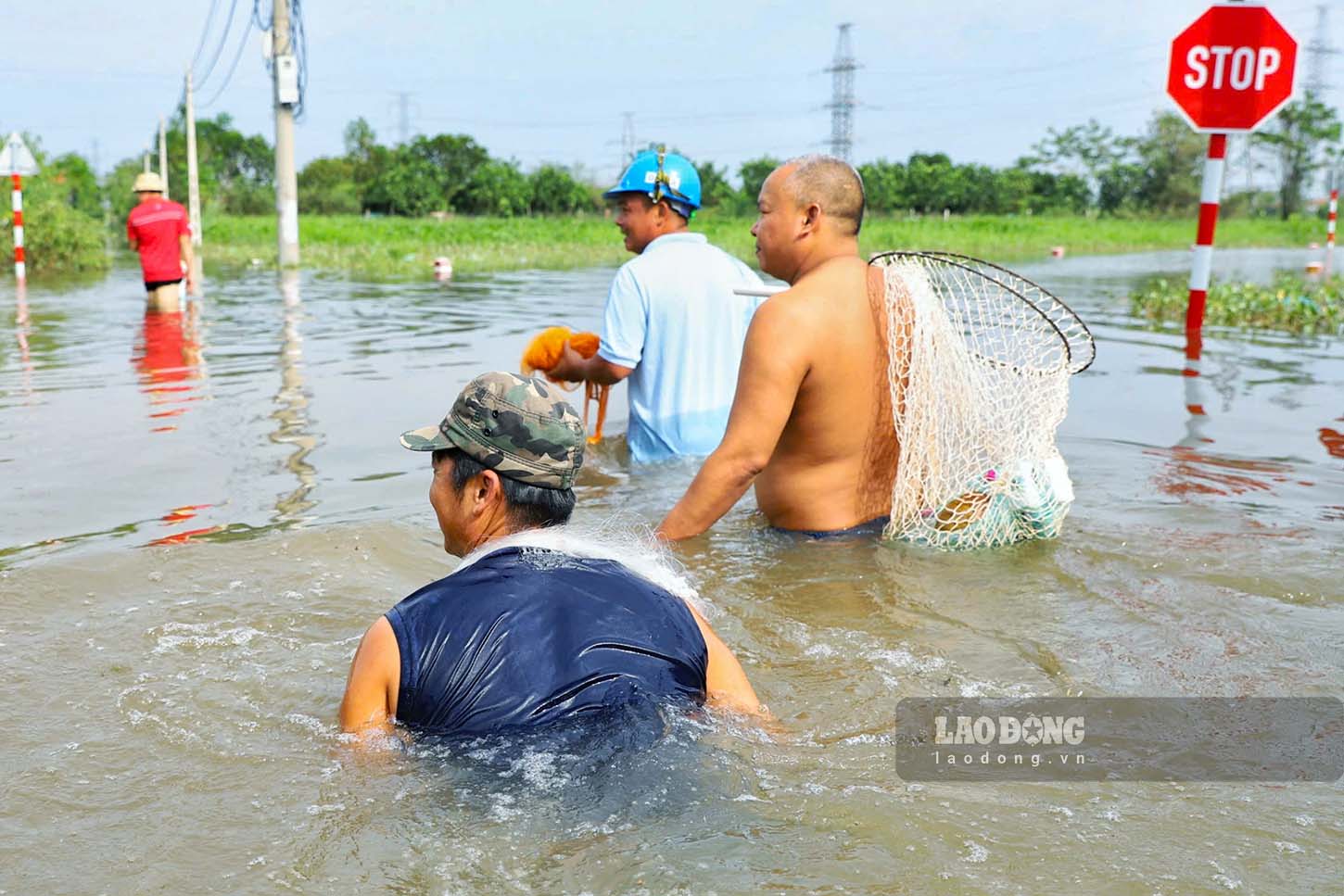 Theo người dân địa phương, do ảnh hưởng của mưa lũ nên nhiều ao cá của người dân tại khu vực bị tràn bờ khiến rất nhiều cá bơi ra ngoài. Nhiều người dân đã tranh thủ đi bắt cá ngay trên đường gom cao tốc.