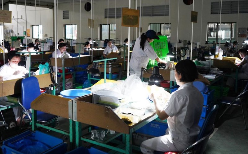 Công ty TNHH Daito Rubber (KCN Nhật Bản Hải Phòng) duy trì sản xuất trong thời gian khắc phục hậu quả do bão. Ảnh: Mai Dung