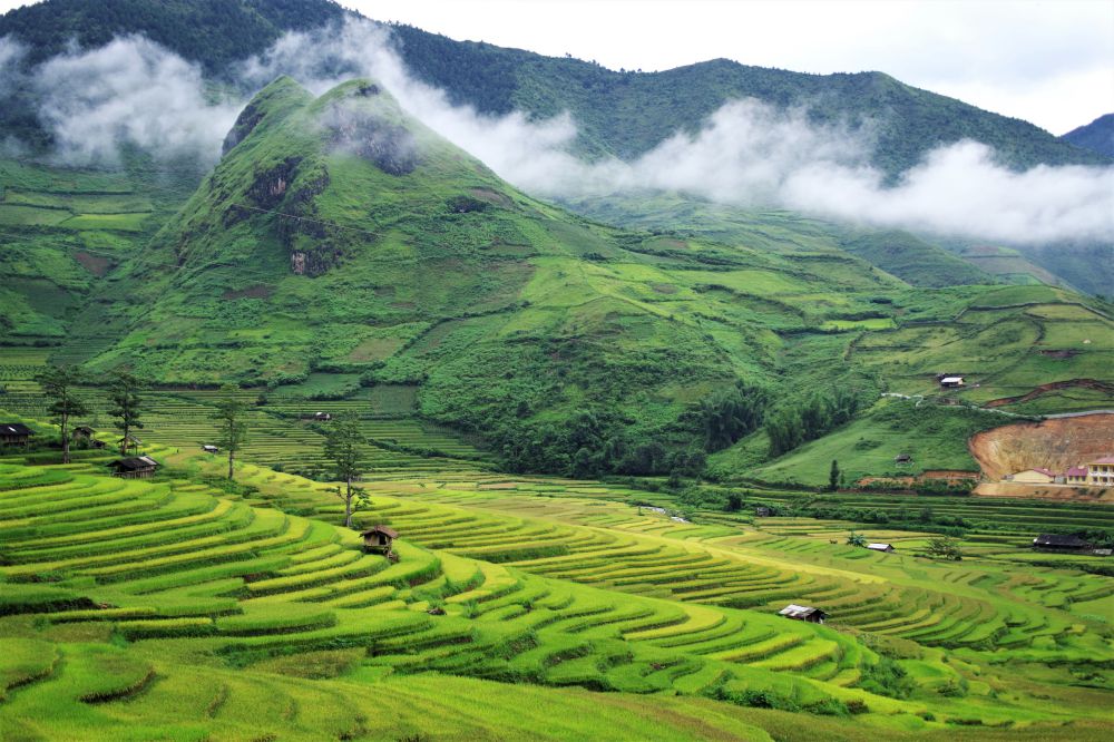 Mùa vàng ở thung lũng Tú Lệ, Yên Bái. Ảnh: Đan Thanh