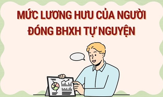Người đóng BHXH tự nguyện được hưởng lương hưu thế nào? Đồ họa: Hoàng Lê