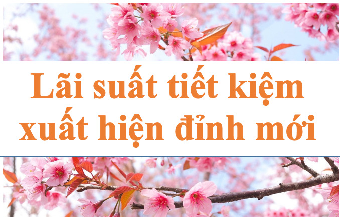 Lãi suất tiết kiệm xuất hiện đỉnh mới. Ảnh minh họa: Hà Vy