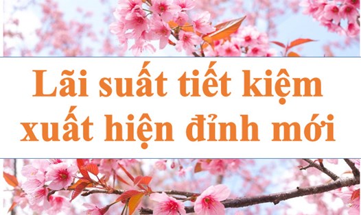 Lãi suất tiết kiệm xuất hiện đỉnh mới. Ảnh minh họa: Hà Vy