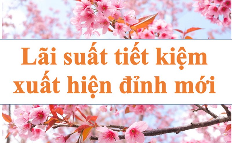 Lãi suất tiết kiệm xuất hiện đỉnh mới. Ảnh minh họa: Hà Vy