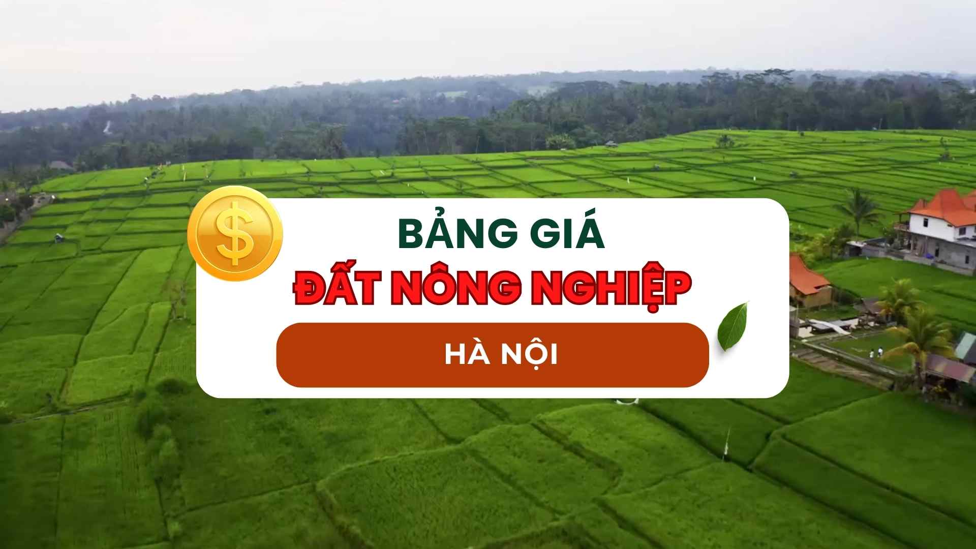 Bảng giá đất nông nghiệp Hà Nội năm 2024.