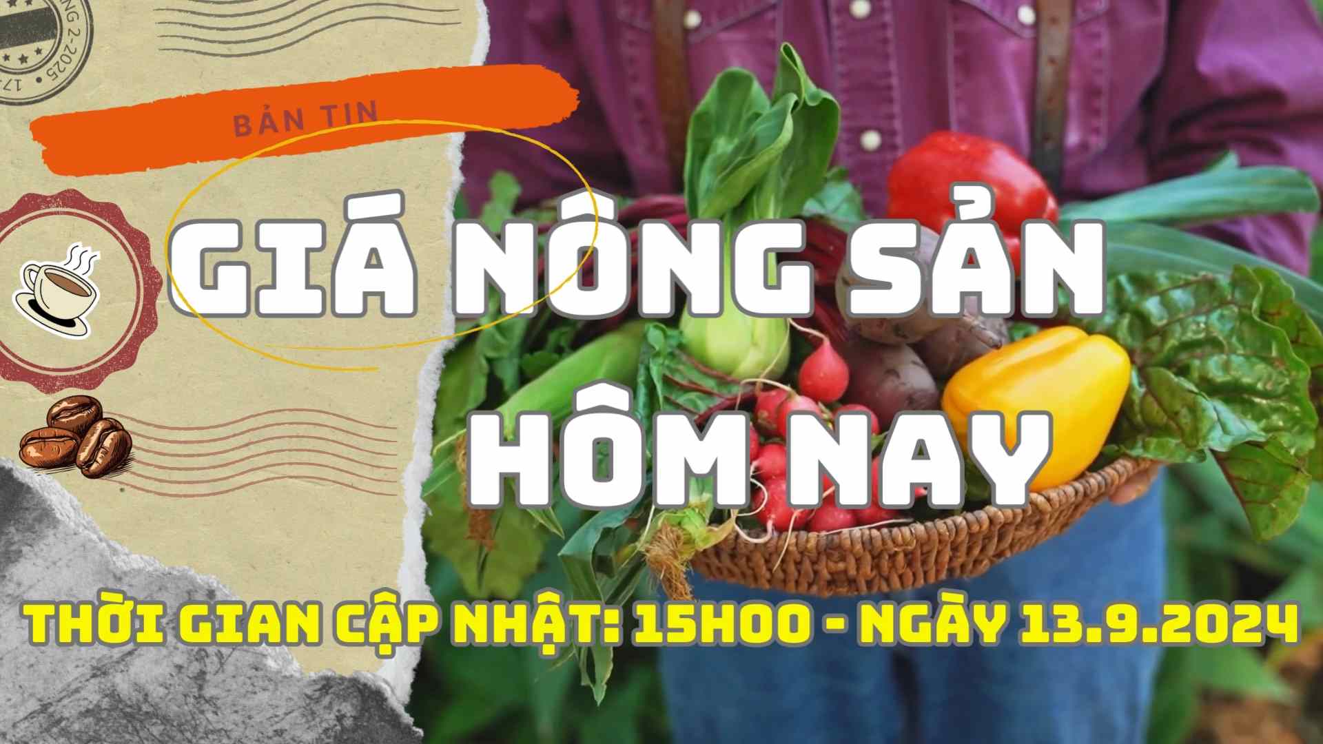 Giá nông sản hôm nay ngày 13.9.2024. Ảnh: Phan Tuấn