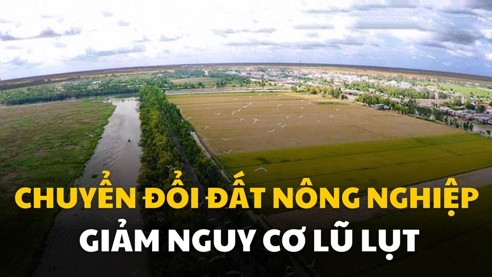Trong bối cảnh biến đổi khí hậu và thiên tai gia tăng, việc thay đổi cách sử dụng đất nông nghiệp đang trở thành một giải pháp thiết yếu. Đồ họa: Quỳnh Anh