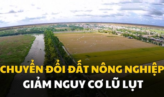 Trong bối cảnh biến đổi khí hậu và thiên tai gia tăng, việc thay đổi cách sử dụng đất nông nghiệp đang trở thành một giải pháp thiết yếu. Đồ họa: Quỳnh Anh