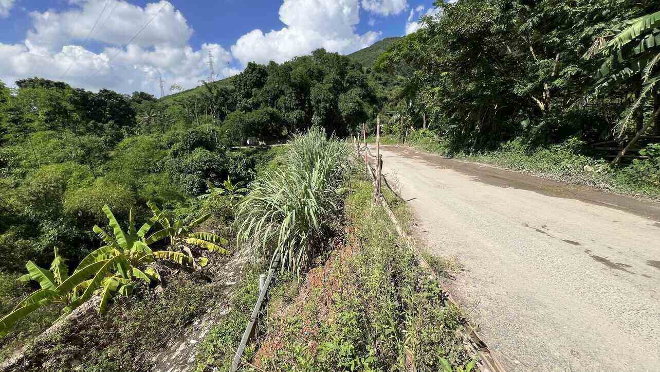 Tỉnh Hòa Bình chuyển mục đích 8,2ha đất rừng làm dự án đê 144 tỉ đồng. Ảnh: Minh Nguyễn

