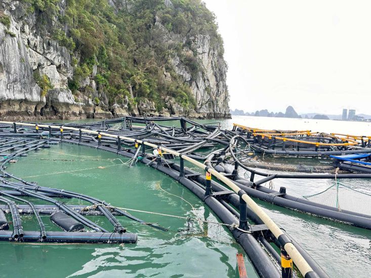 Cac long nuoi ca, long nuoi thuy san deu bi gio bao pha hong, cuon troi.   Anh: Vu Long