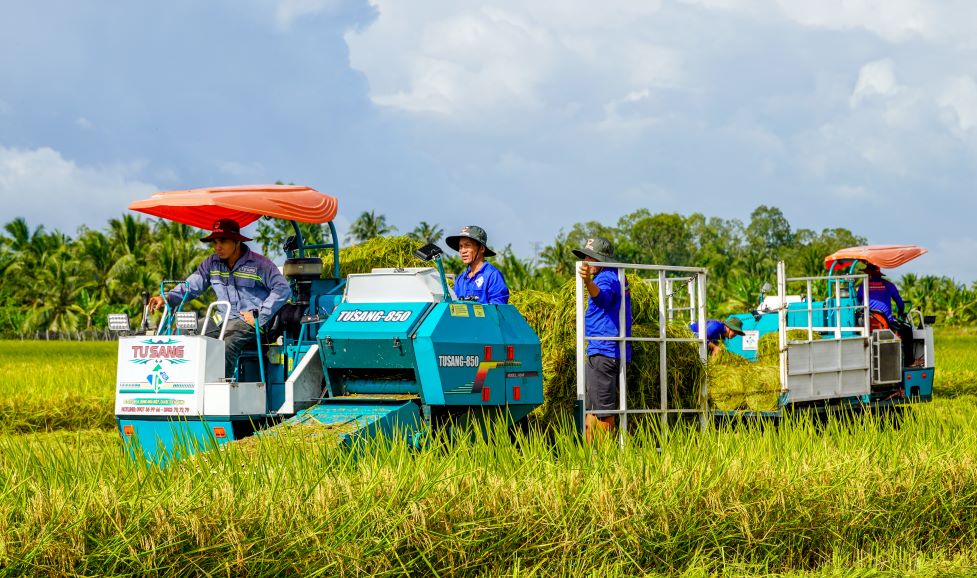 Khi tham gia mô hình nông dân được hỗ trợ 100% chi phí gieo sạ và đối ứng 50% giống, vật tư nông nghiệp.