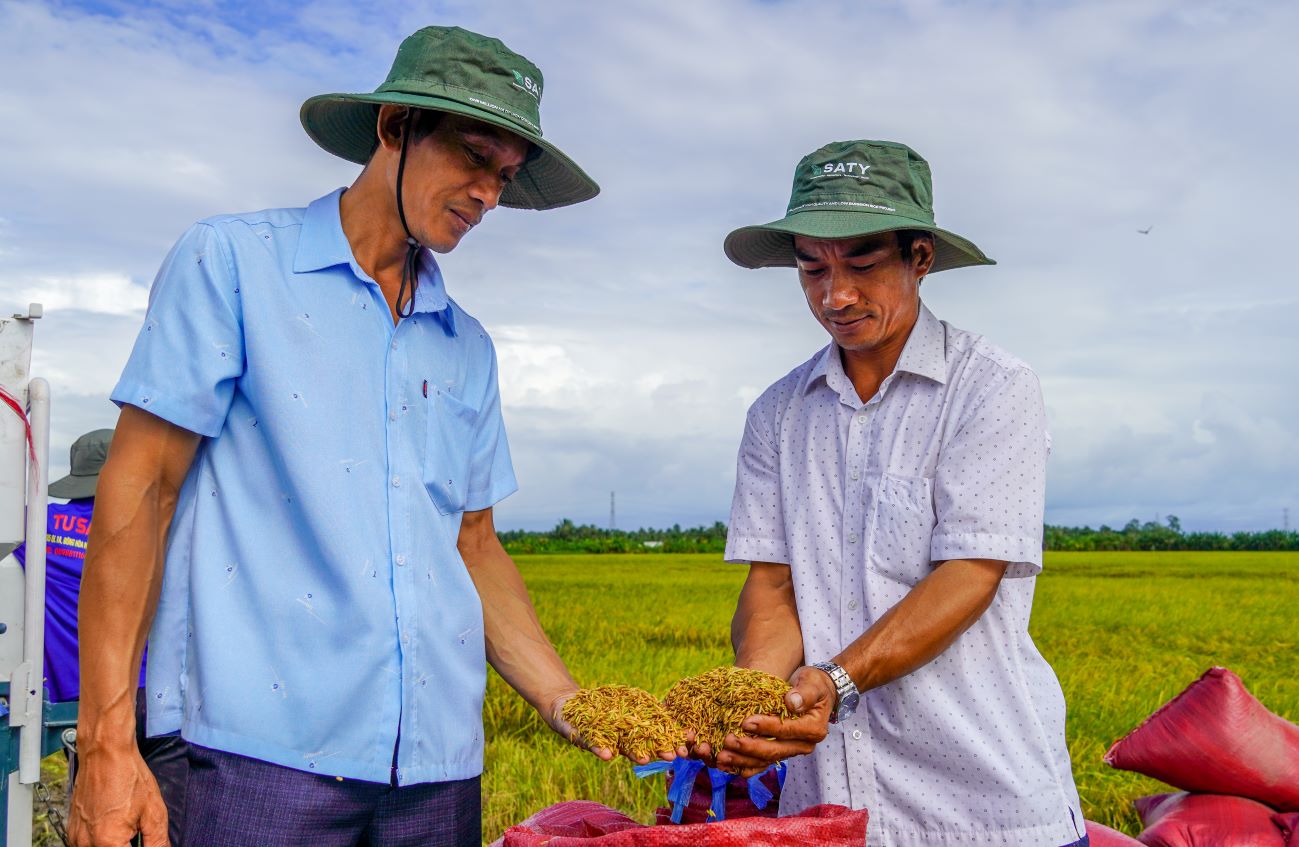 Hiện 50 ha lúa chất lượng cao, giảm phát thải ở Sóc Trăng đã thu hoạch, năng suất đạt từ 6,5 - 7 tấn/ha. Tổng sản lượng khoảng 325 tấn. Lúa được doanh nghiệp ký kết hợp đồng thu mua với giá 10.800 đồng/kg, cao hơn cùng kỳ năm trước khoảng 2.300 đồng/kg. 