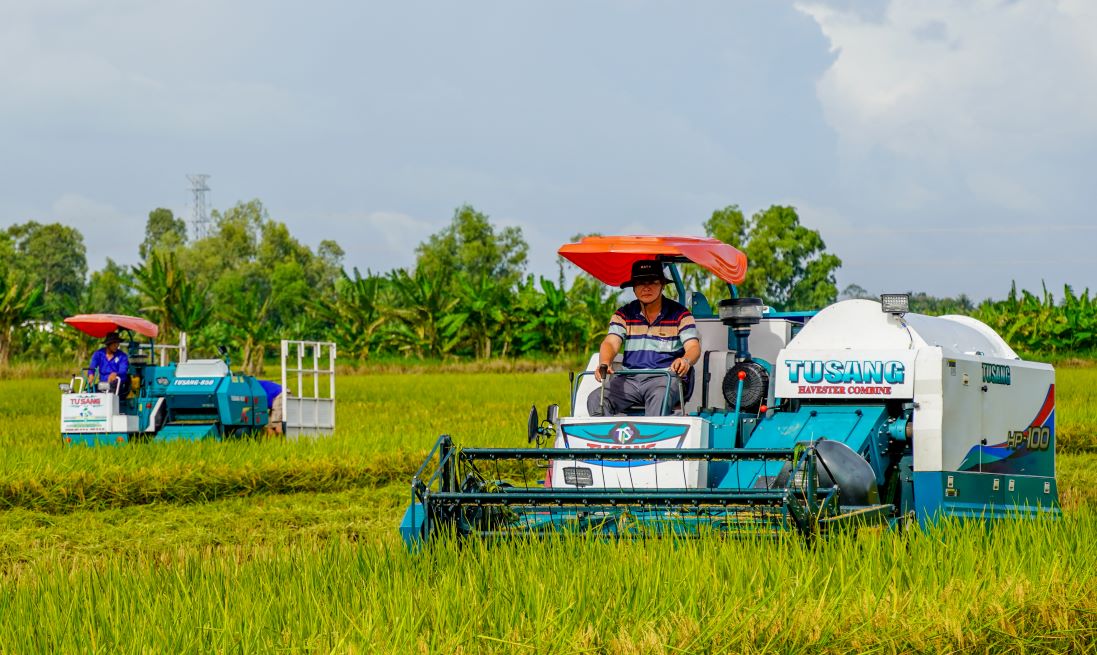 Ong Nguyen Cong Huong co 2ha lua tham gia mo hinh thi diem. Nang suat dat gan 7 tan/ha va duoc doanh nghiep thu mua voi gia 10.800 dong/kg, tru chi phi loi nhuan tren 50 trieu dong/ha.