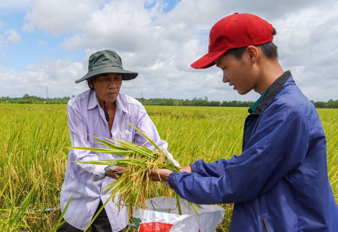 Ong Truong Van Hung - Giam doc HTX Nong nghiep Hung Loi cho biet, gieo sa bang may da giup giam 10kg/ha giong (60kg/ha) so voi nong dan lam ngoai mo hinh; giam 4 lan phun thuoc BVTV va giam tren 41% dam so voi ngoai mo hinh. Tong chi phi dau vao giam tu 10-15%. Sau khi tru chi phi, loi nhuan cua mo hinh thi diem cao hon 5,2 trieu dong so voi ngoai mo hinh (tang 12%).