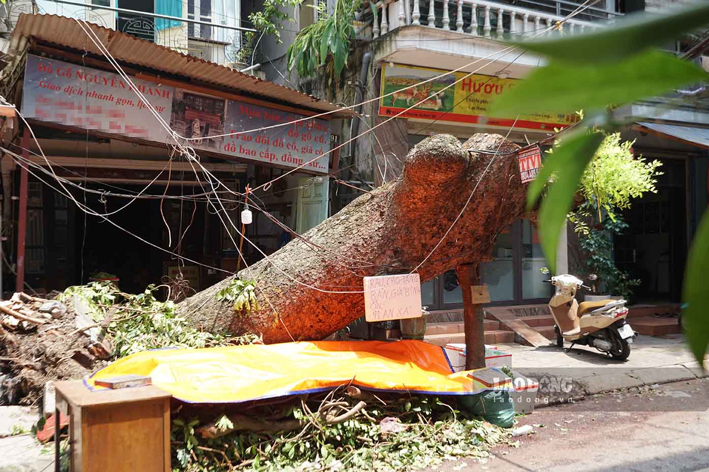 Bà Vũ Thu Hằng (trú tại Tân Ấp) cho biết, nhiều thân cây và cành cây có đường kính lớn nên người dân không thể tự di dời mà chỉ có thể tập kết lại để tiện cho quá trình thu gom. Tuy nhiên, việc này cũng gây ảnh hưởng lớn đến đời sống sinh hoạt và công việc kinh doanh, buôn bán của người dân.