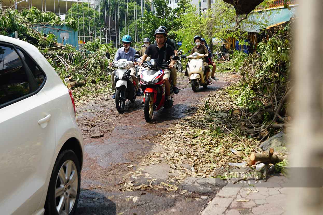 Trong khi đó, tại khu vực đường Quán Sứ giao với Trần Hưng Đạo, loạt cây xanh gãy đổ sau nhiều ngày chắn ngang lòng đường gây ảnh hưởng đến các hộ dân cư và cơ quan, doanh nghiệp – đến nay đã bắt đầu được cưa nhỏ và di dời.