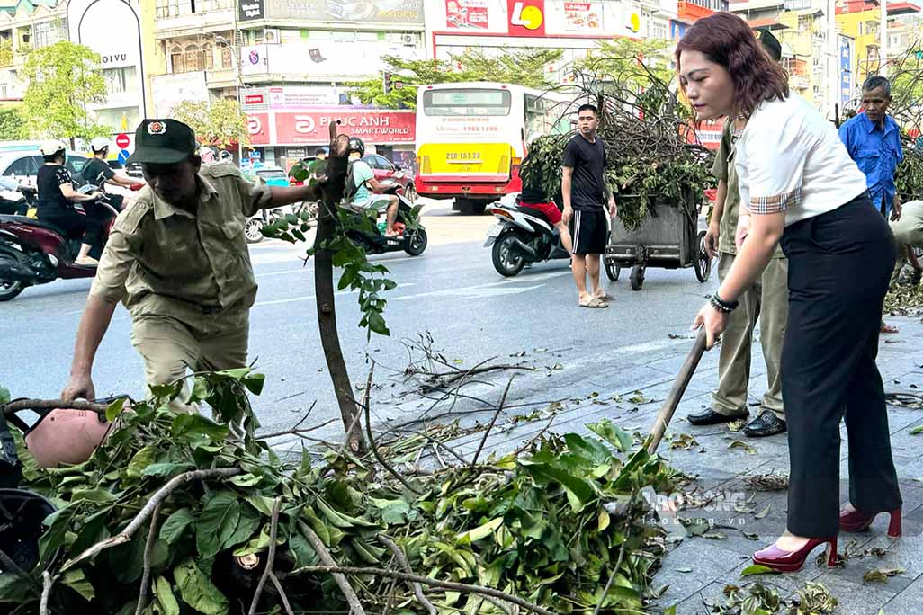 Theo báo cáo của Sở Xây dựng Hà Nội, tính đến ngày 13.9, trên địa bàn Hà Nội có trên 40 nghìn cây đổ và cành gãy. Trong đó, có 13.615 cây xanh đô thị bị gãy, đổ. Hơn 26.300 cây do cấp quận, huyện, thị xã quản lý và cây xanh trong các khu đô thị gãy, đổ.