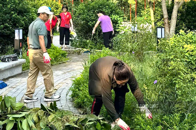 Phó Chủ tịch UBND TP Hà Nội - Dương Đức Tuấn đề nghị các đơn vị liên quan tập trung xử lý, khắc phục hệ thống cây xanh bị gãy đổ, đặc biệt tại các công viên, khu đô thị; thực hiện đúng chỉ đạo của thành phố là cứu tối đa các cây, với dự kiến có khoảng 3.000 cây có thể cứu (trong đó có 100 cây quý hiếm); dọn dẹp, bảo đảm trước ngày 20.9 sẽ thu dọn hết cây xanh gãy, đổ.