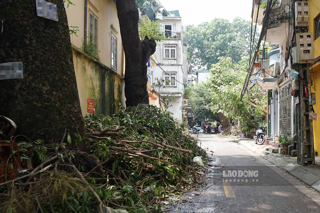 Theo ghi nhan cua Lao Dong, ngay 14.9, nhieu khu vuc, duong pho tai Ha Noi trong tinh canh tan hoang, cay xanh do rap, chat dong sau bao so 3 dang cho duoc thu gom, xu ly.