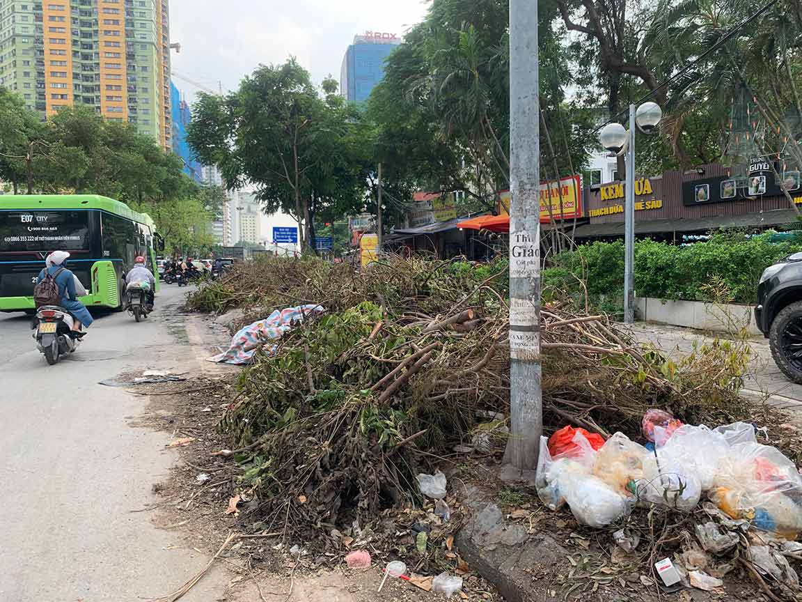 Nhiều cành cây đã được cắt tỉa tập kết trên vỉa hè đường Nguyễn Chí Thanh (quận Đống Đa, Hà Nội). Ảnh: Nhật Minh 