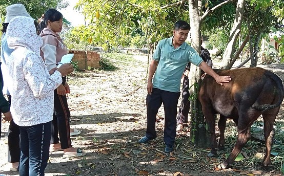 Công tác đào tạo nghề cho người lao động ở địa bàn huyện M'Đrắk, tỉnh Đắk Lắk đã và đang được cơ quan chức năng chú trọng. Ảnh: Bảo Trung
