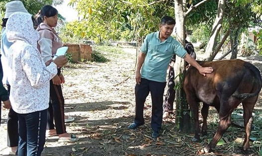 Công tác đào tạo nghề cho người lao động ở địa bàn huyện M'Đrắk, tỉnh Đắk Lắk đã và đang được cơ quan chức năng chú trọng. Ảnh: Bảo Trung