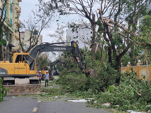 Dọn dẹp đường phố sau bão. Ảnh: Mai Chi