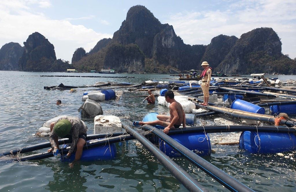 Rieng ngu dan huyen Van Don, tinh Quang Ninh bi thiet hai khoang 2.200 ti dong. Anh: Nguyen Hung