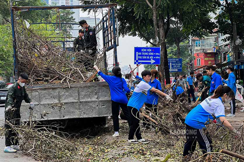 Theo thong ke cua TP Ha Noi, bao so 3 khien hon 25.000 cay tren dia ban bi gay do, trong do co toi hon 24.800 cay do. Du TP Ha Noi da rat no luc trong viec khac phuc hau qua sau bao nhung cay gay do van ngon ngang tren duong. Do do, viec ra quan tong ve sinh moi truong la nhiem vu cap bach, doi hoi su tham gia tich cuc cua toan the can bo, hoi vien, doan vien, cac tang lop nhan dan, som dua cuoc song tro lai binh thuong, giu gin moi truong song trong lanh.