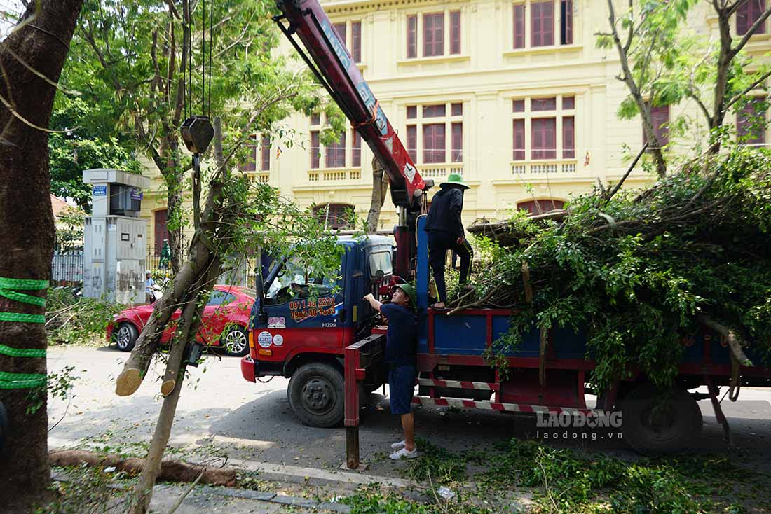 Tại các tuyến phố trung tâm Hà Nội, lực lượng công an, quân đội, phụ nữ, đoàn thanh niên và nhân dân đồng loạt tham gia tổng vệ sinh môi trường.