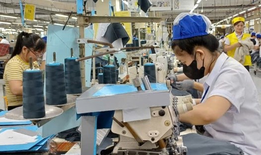 Người sử dụng lao động không niêm yết công khai thông tin đóng bảo hiểm xã hội của người lao động có thể bị phạt tiền từ 1.000.000 đồng đến 3.000.000 đồng đối với cá nhân và từ 2.000.000 đồng đến 6.000.000 đồng đối với tổ chức. Ảnh: Nam Dương