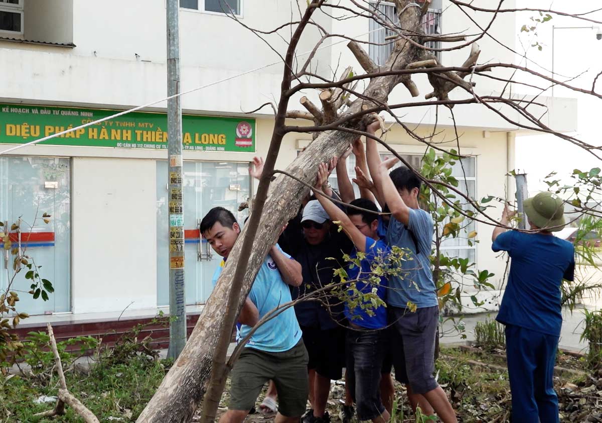 2 ngày cuối tuần có hàng nghìn người dân TP Hạ Long, tỉnh Quảng Ninh dọn dẹp sau bão. Ảnh: Đoàn Hưng