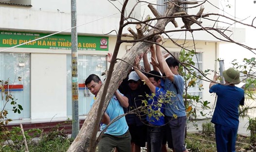 2 ngày cuối tuần có hàng nghìn người dân TP Hạ Long, tỉnh Quảng Ninh dọn dẹp sau bão. Ảnh: Đoàn Hưng